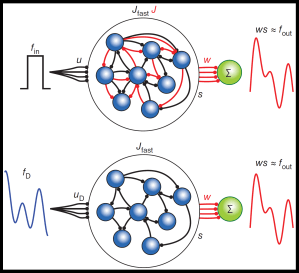 autonomous_driven_networks